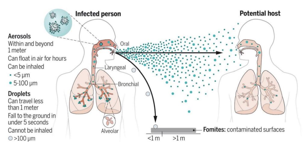 Diagram of respiratory virus transmission from an infected person via aerosols, droplets and contaminated surfaces
